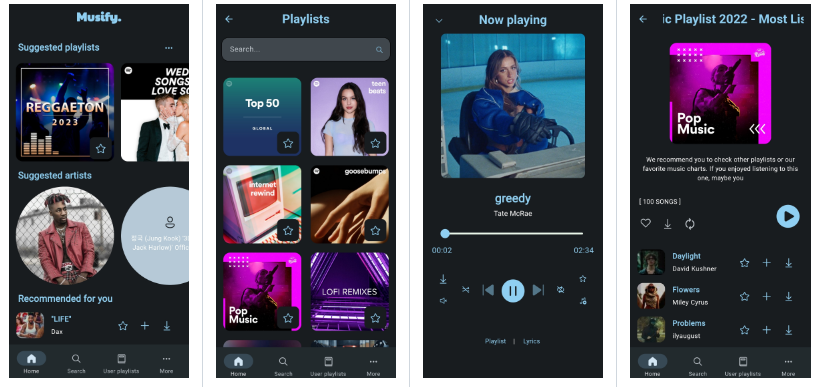 Musify Screenshot1
